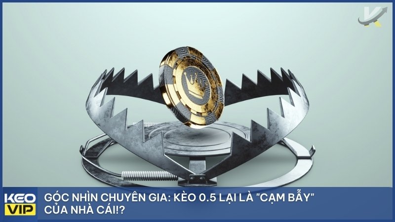 Kèo Chấp Nửa Trái – Cách Đọc Và Kinh Nghiệm Soi Kèo Luôn Thắng 2 Kèo 0.5 được cho là "cạm bẫy" của nhà cái vì con số này khá mong manh và có thể dẫn đến nhiều kết quả khó đoán