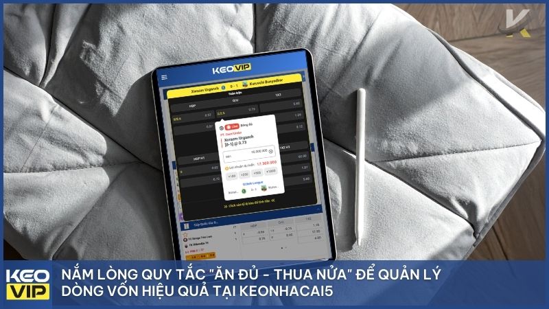 Cách Đọc Kèo Bóng Đá Tài Xỉu Từ A-Z: Hướng Dẫn Chi Tiết & Mẹo Thắng Lớn 2026 2 Nắm lòng quy tắc "ăn đủ - thua nửa" để quản lý dòng vốn hiệu quả tại Keonhacai5