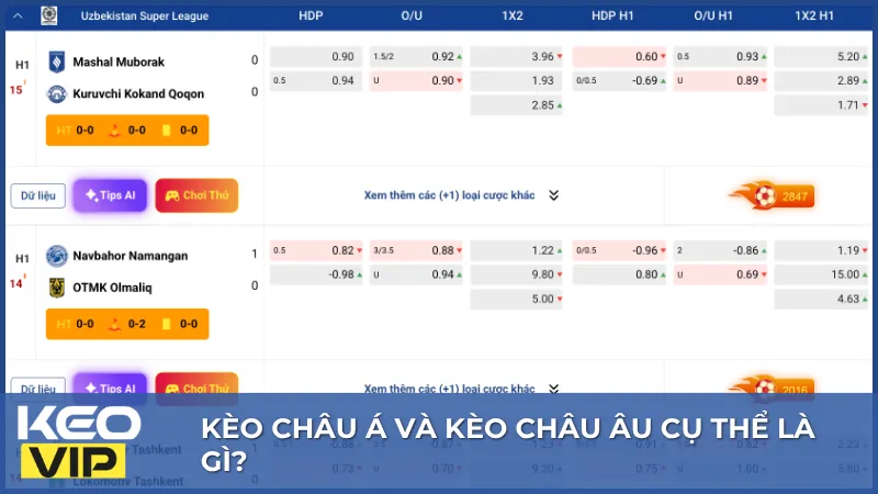 Phân Biệt Kèo Châu Á Và Kèo Châu Âu: Lựa Chọn Nào Tối Ưu? 1 Tỷ lệ chấp là đặc điểm nổi bật giúp phân biệt kèo châu Á với các loại kèo khác