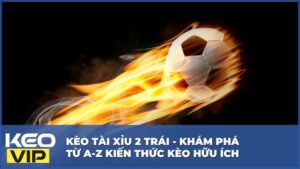 Kèo Tài Xỉu 2 Trái