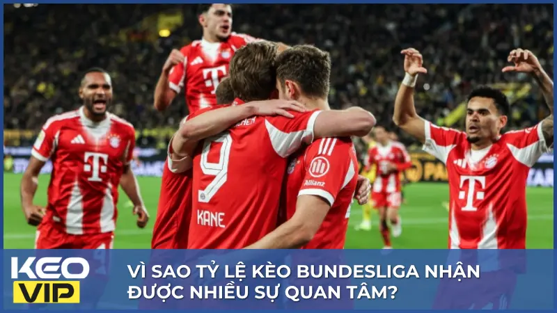Làm Chủ Tỷ Lệ Kèo Bundesliga Trong 5 Phút Với 3 Mẹo Cực Chuẩn 2 Bundesliga sở hữu nhiều yếu tố đặc trưng khiến tỷ lệ kèo luôn được người hâm mộ theo dõi